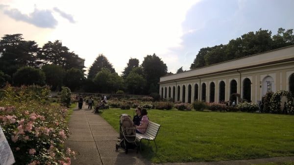 Roseto 'Niso Fumagalli' botanical garden